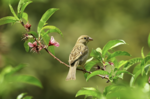 Spring 2024 Newsletter